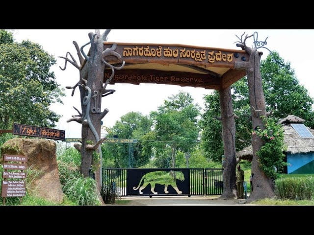 Coorg Nature Guide: Wildlife and Plant Life Exploration