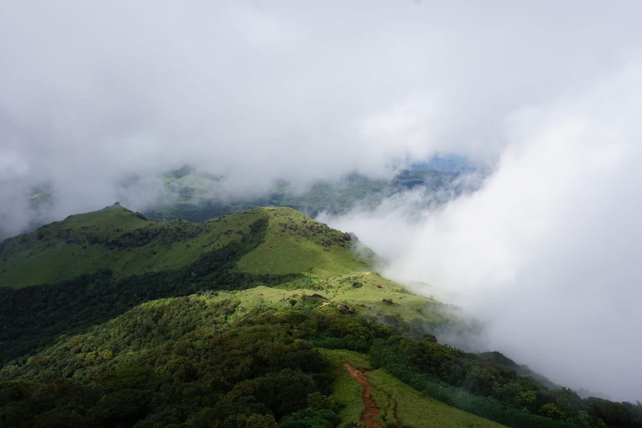 What Is Coorg Famous For? Places to visit in Coorg