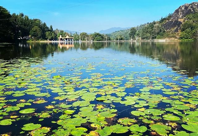 Explore the Stunning Beauty of the Coorg's Landscape