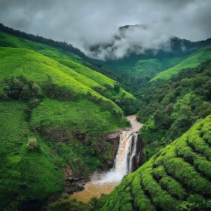 Coorg's Landscape