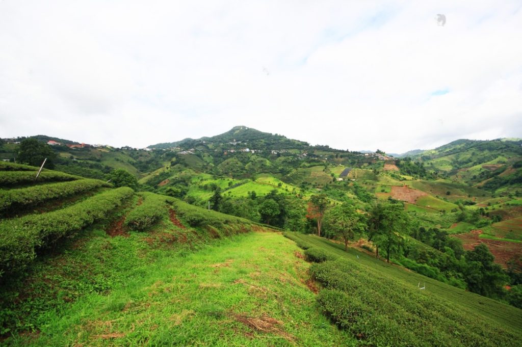 Explore the Stunning Beauty of the Coorg's Landscape