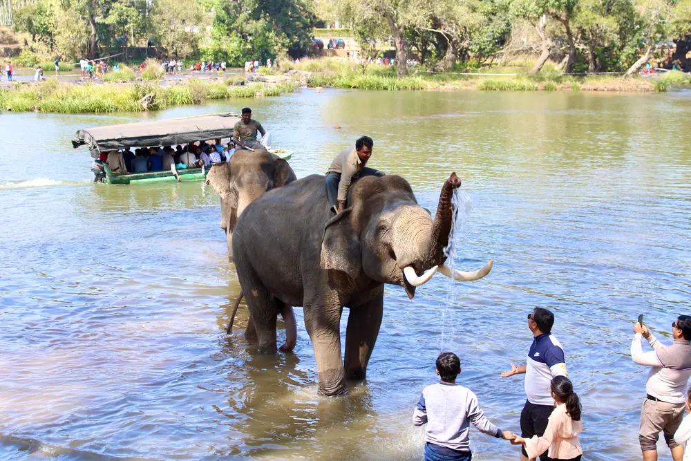 Explore the Stunning Beauty of the Coorg's Landscape