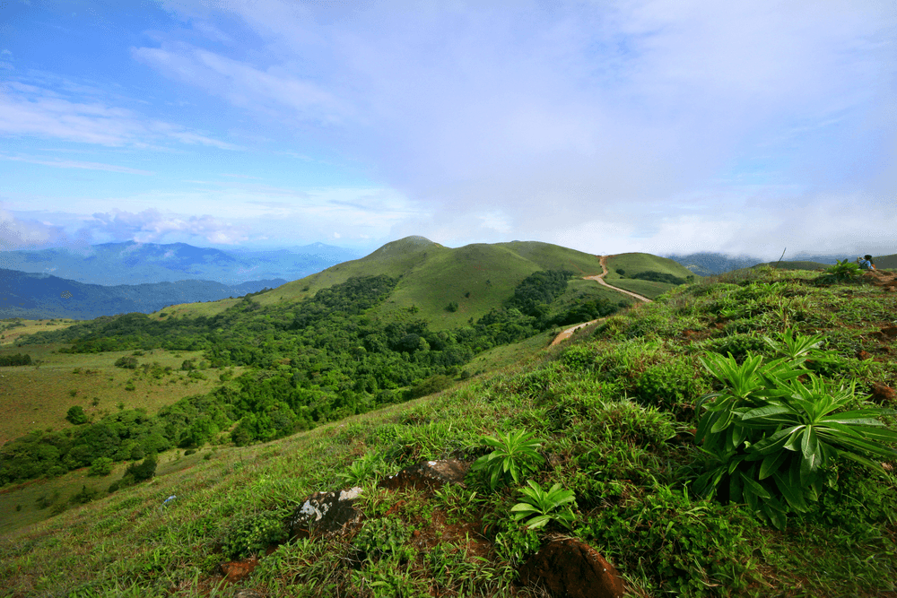 Embark on Your Ultimate Coorg Adventure 10 Coorg Adventure