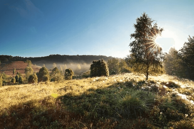 Rise with Nature: A Morning at Mazra Retreat 1 Rise with Nature: A Morning at Mazra Retreat
