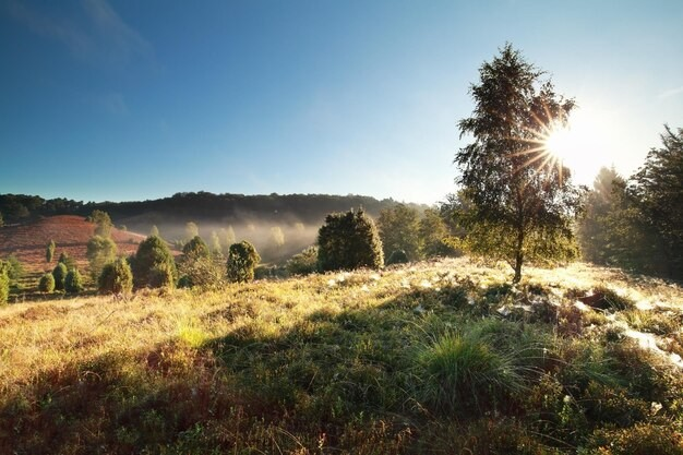 Nature Retreat In Coorg with Sunrise