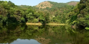 Places to Visit in Kushalnagar near Coorg