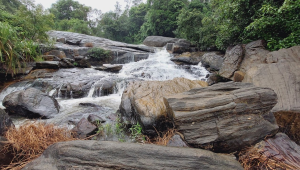 Hidden Waterfalls of Coorg Adventure