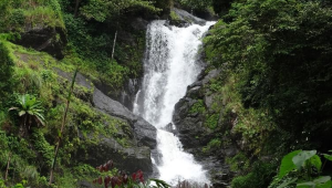 Devarkoli Hidden Waterfalls of Coorg